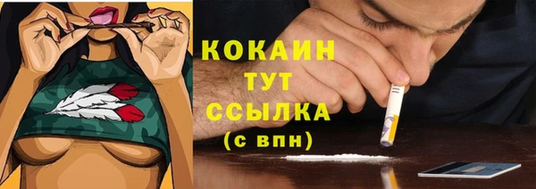 бошки Кулебаки