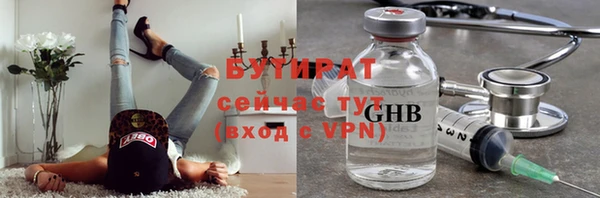 индика Краснослободск