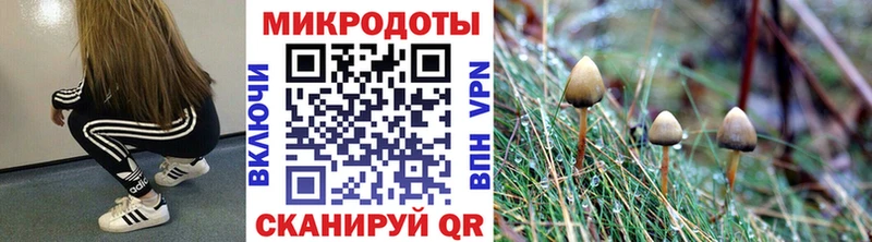 Псилоцибиновые грибы GOLDEN TEACHER  закладка  Курчатов 